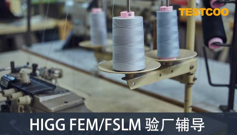 HIGG-FEM-FSLM-驗廠輔導